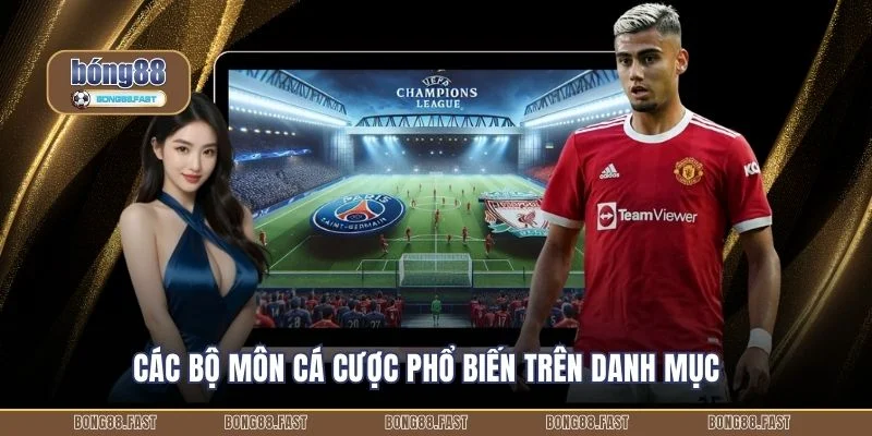 Các bộ môn cá cược phổ biến trên danh mục