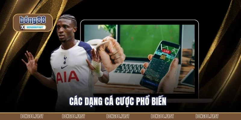 Các dạng cá cược phổ biến