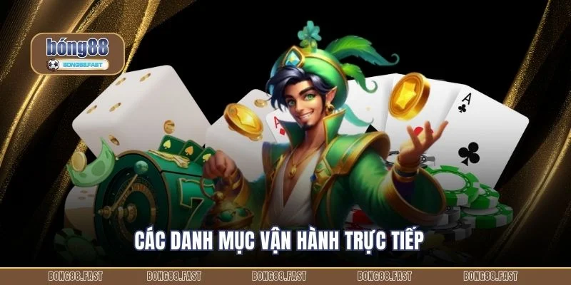 Các danh mục vận hành trực tiếp