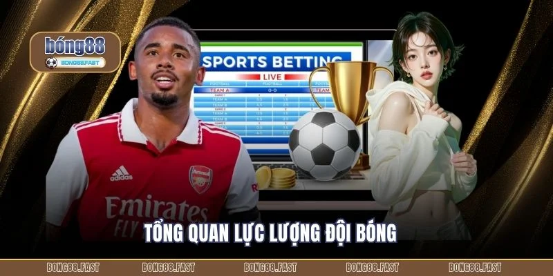 Tổng quan lực lượng đội bóng