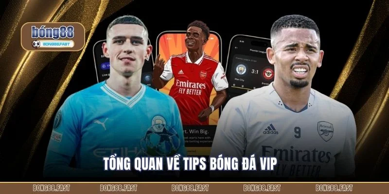 Tổng quan về tips bóng đá VIP